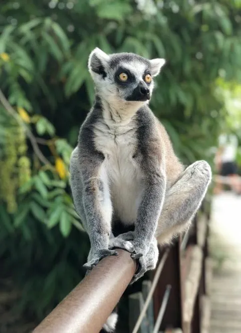 Madagascar