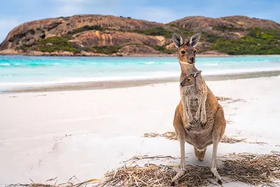 13 Day Jewels of Australia & New Zealand Image