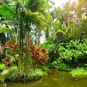 Hawaii Tropical Botanical Garden