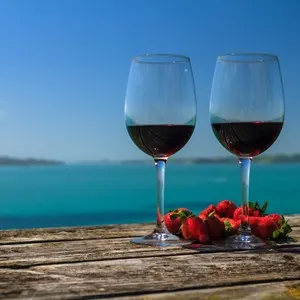 glasses of wine in front of the sea