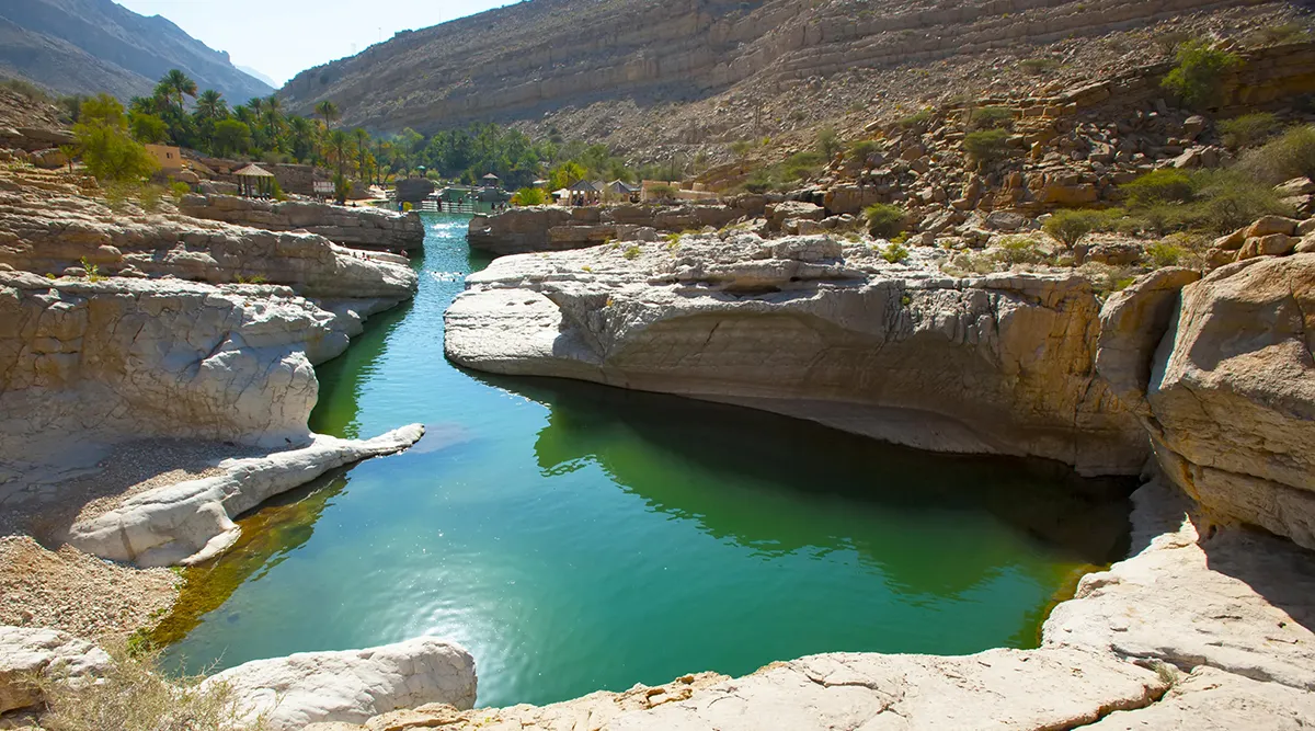 Muscat Discovery