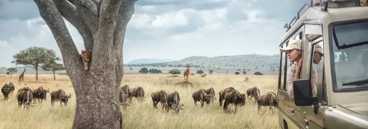 Tsavo National Park