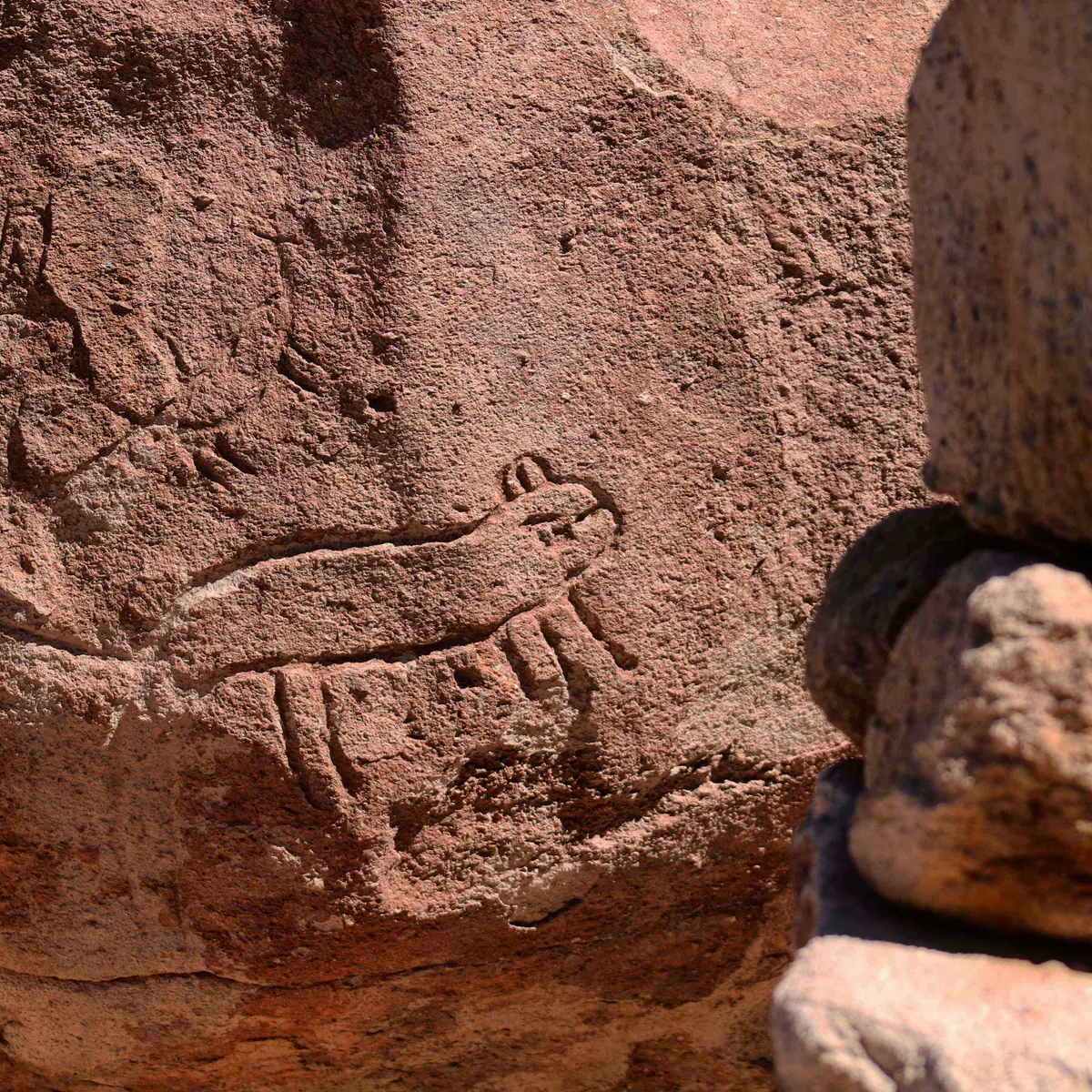 Astral Adventure in the Atacama Desert