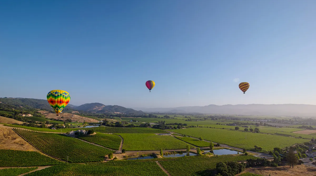 Napa Valley Discovery