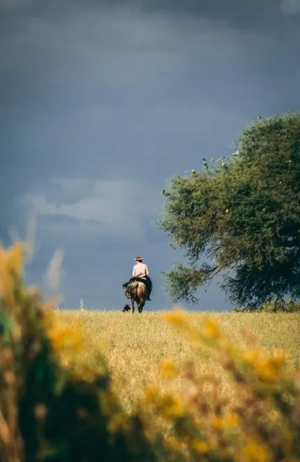 Argentina Horseback Explorer