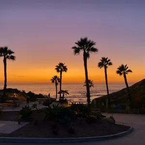Nahomi Park