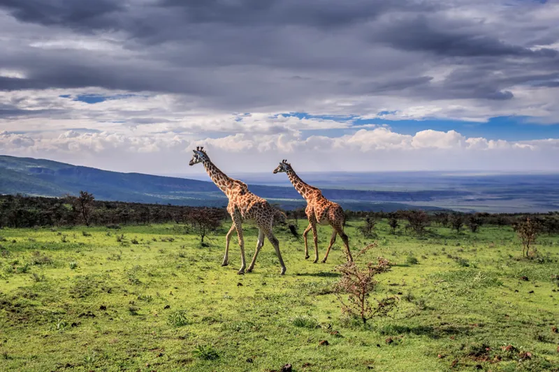 Kilimanjaro National Park