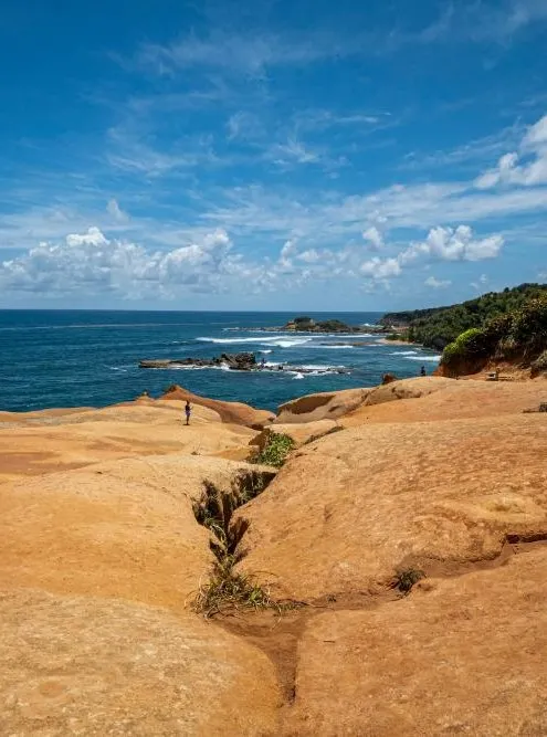 Dominica