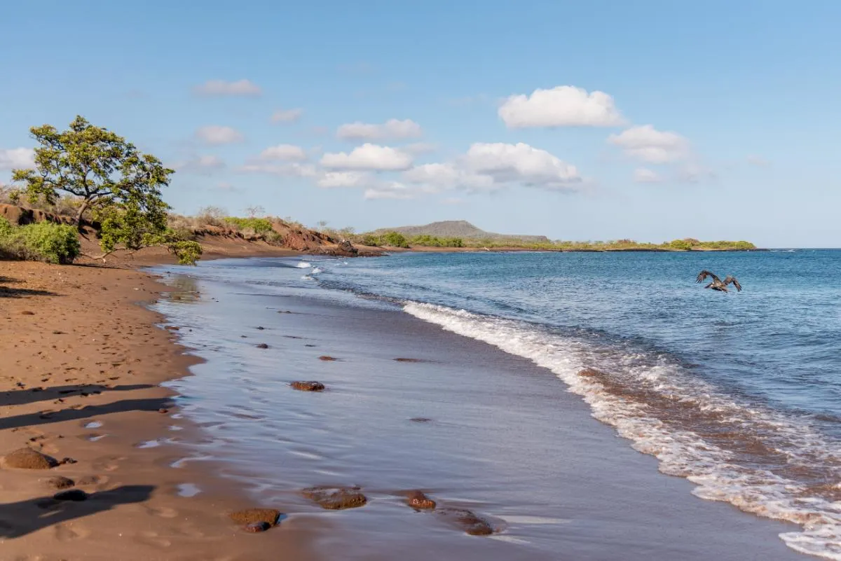 Galapagos Islands Southern Route Cruise Aboard MC Alya
