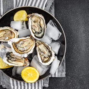 fresh oysters on ice