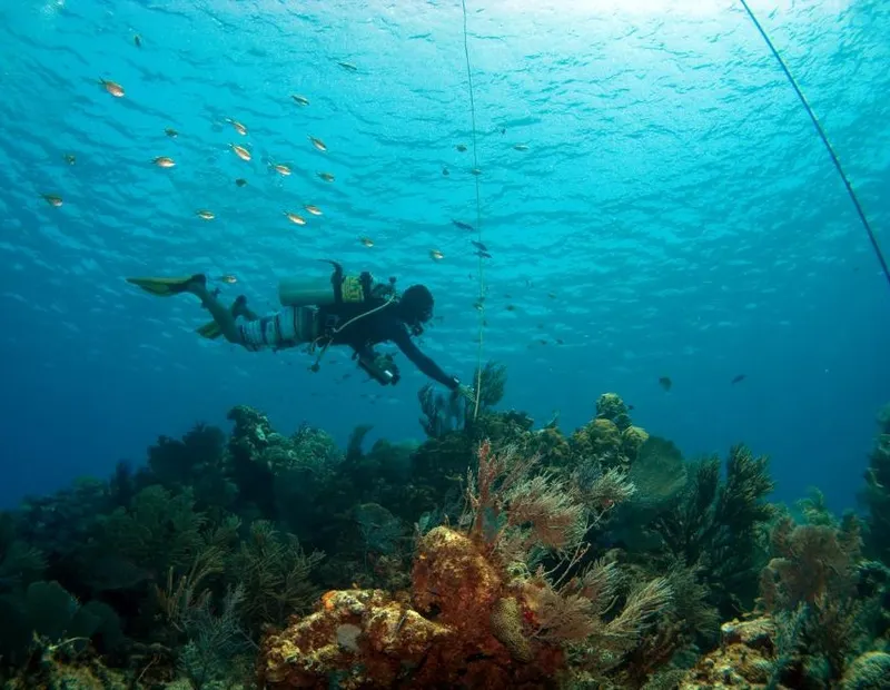 Cayman Brac