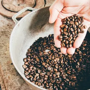 Jamaica Blue Caneland Central