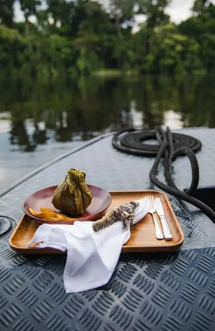 Aria Amazon Explorer Cruise