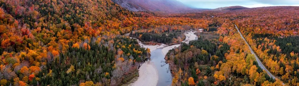 New Brunswick
