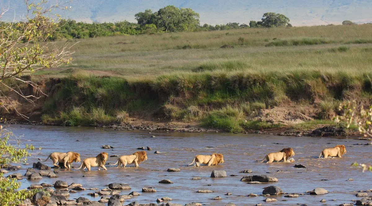 Luxury Kenya Fly In Safari