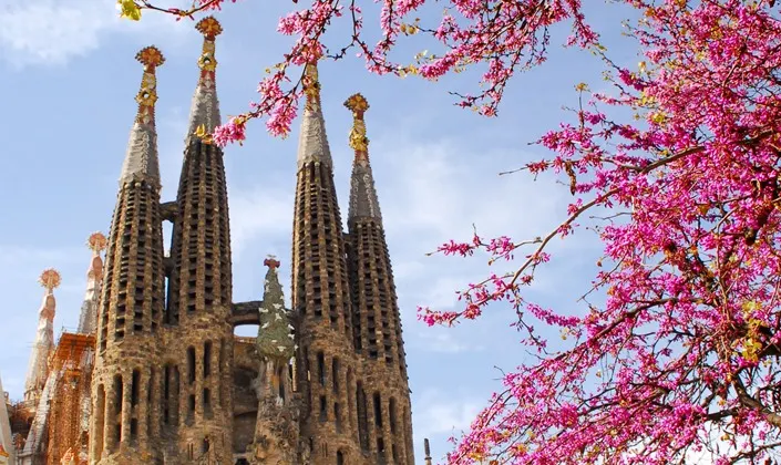 Barcelona Discovery