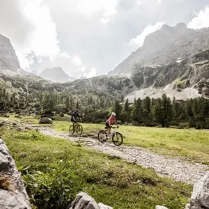 Cycling & Mountain biking
