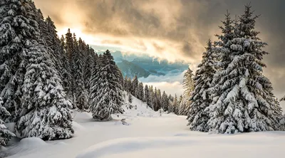 Christmas in Switzerland