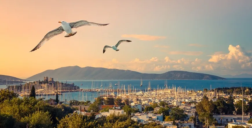 Western Turkey Escorted Vacation