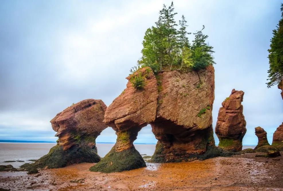 New Brunswick