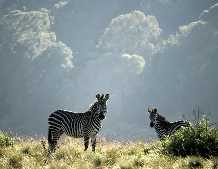 Malawi Meander Great Rail Journey 