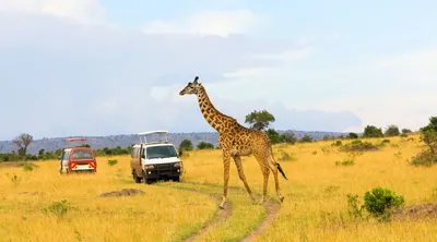 Romantic Kenya Safari and ZanzibarImage