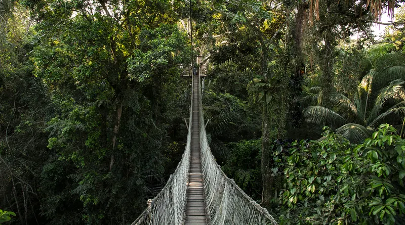 Iquitos