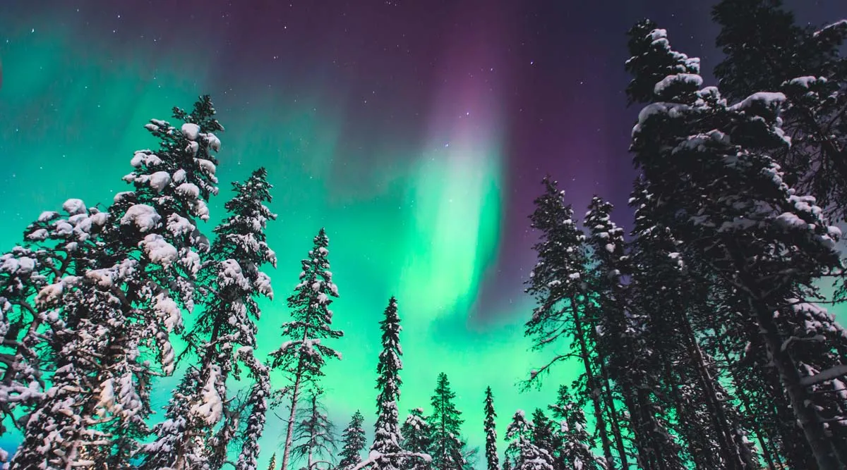 Finland and Sweden Winter Lapland Private Journey