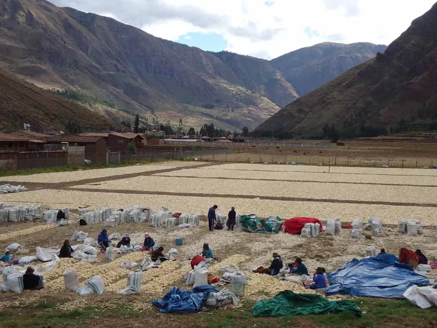 Sacred Valley