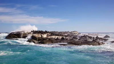 Hermanus