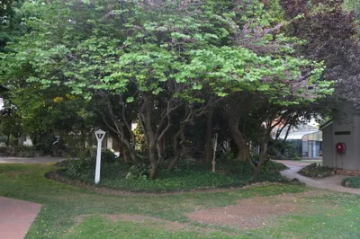 Photo 5 of Airport Garden Boutique Hotel hotel