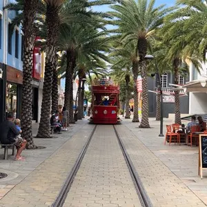 Public Transport
