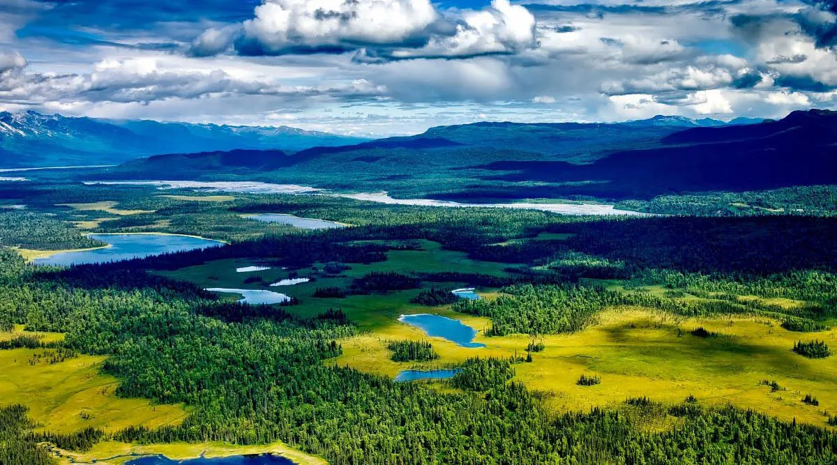 Denali National Park And Talkeetna Self Drive Explorer