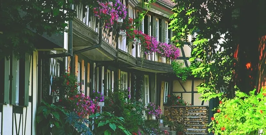 The Magic of the Black Forest Germany Escorted Vacation
