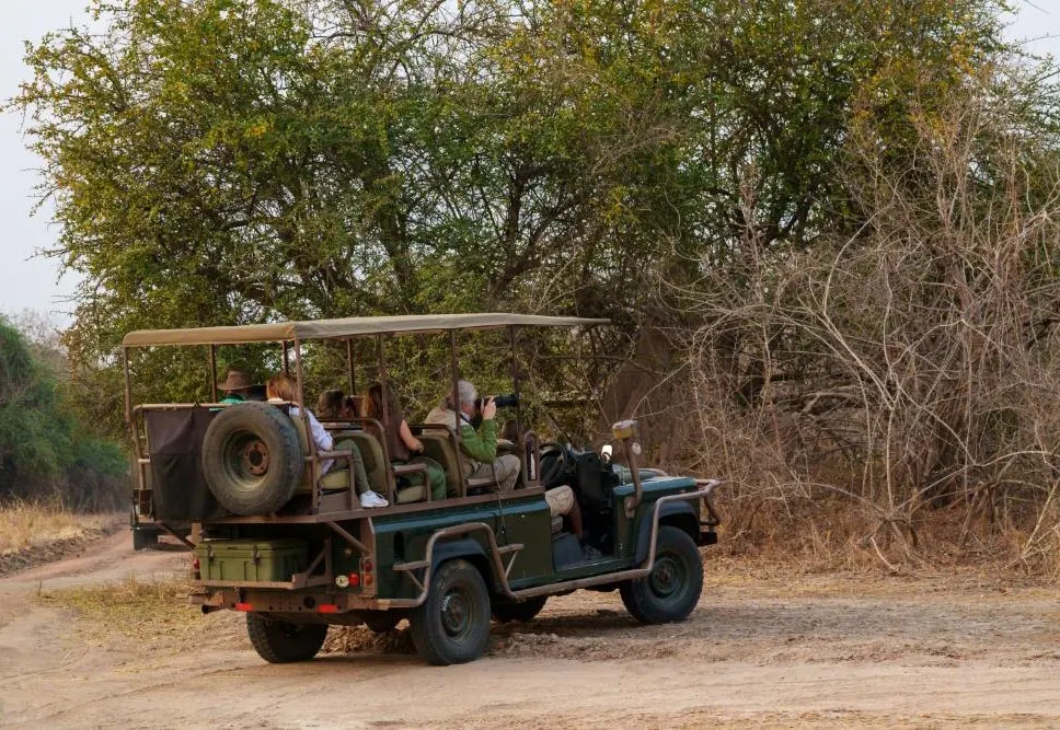 Governors Sky Safari 