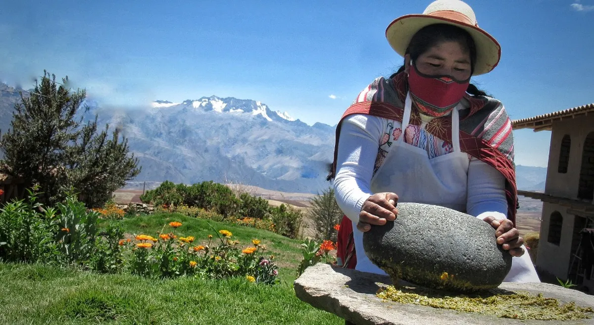 Andean Explorer
