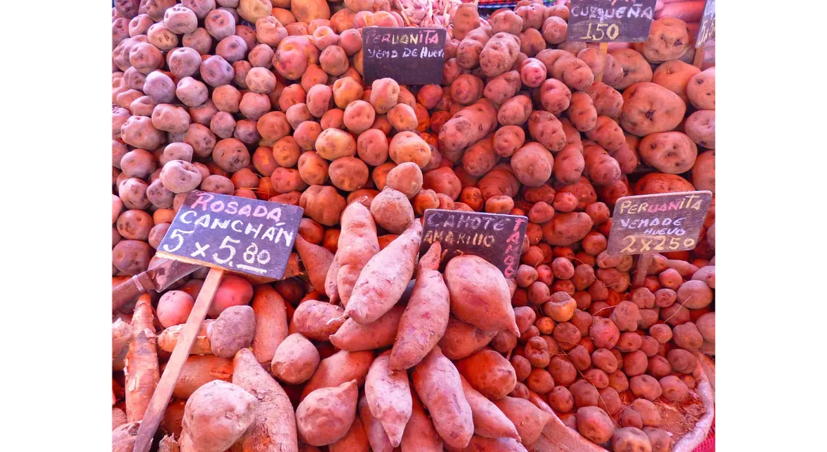 Peru Culinary Landscape Discovery