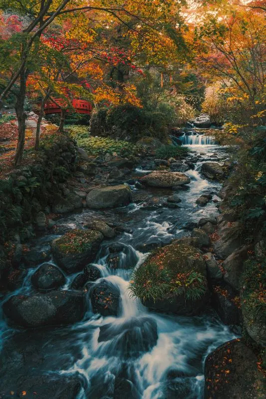 Private Journey to the Gardens of Ireland in Autumn