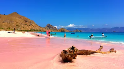Komodo National Park