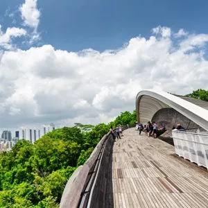 Henderson Waves