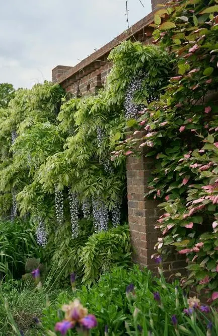 Private Journey through Regency Era London