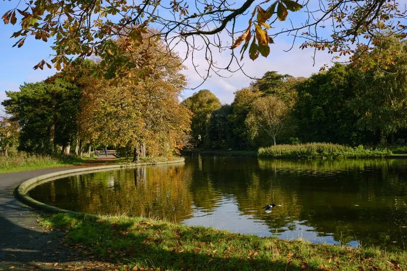 Private Journey to the Gardens of Ireland in Autumn