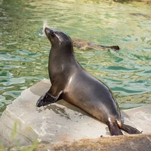 Cologne Zoo