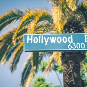 Hollywood Walk of Fame & TCL Chinese Theatre