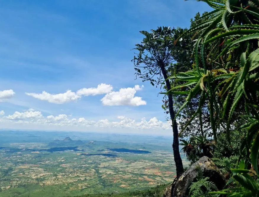 Zimbabwe Explorer
