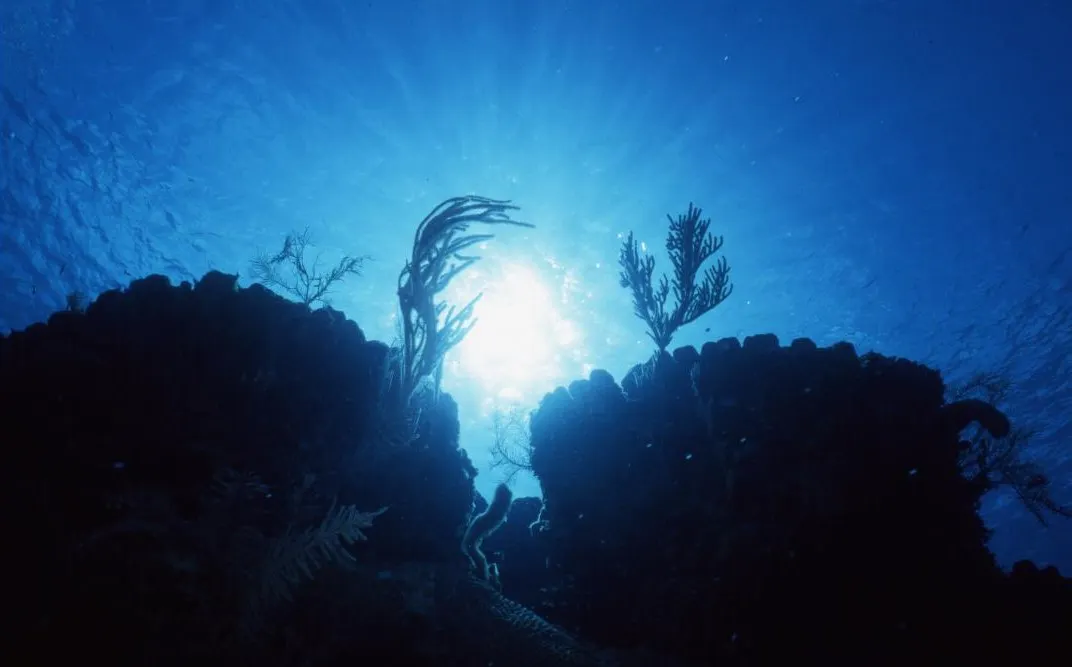 Cayman Islands photo 25