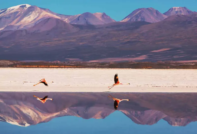 Bolivia