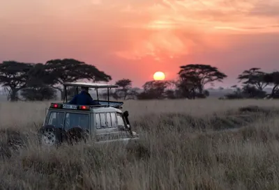 Tanzania Northern Safari Circuit with Tarangire