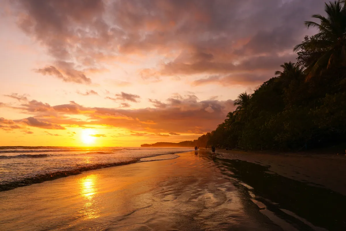 Costa Rica Beach Lovers Adventure 