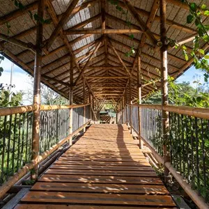 Wooden bridge in the José Celestino Mutis botanical garden. Bogota, Colombia.